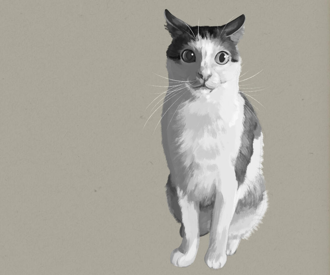 A monochrome illustration of a cat looking surprised on warm background.