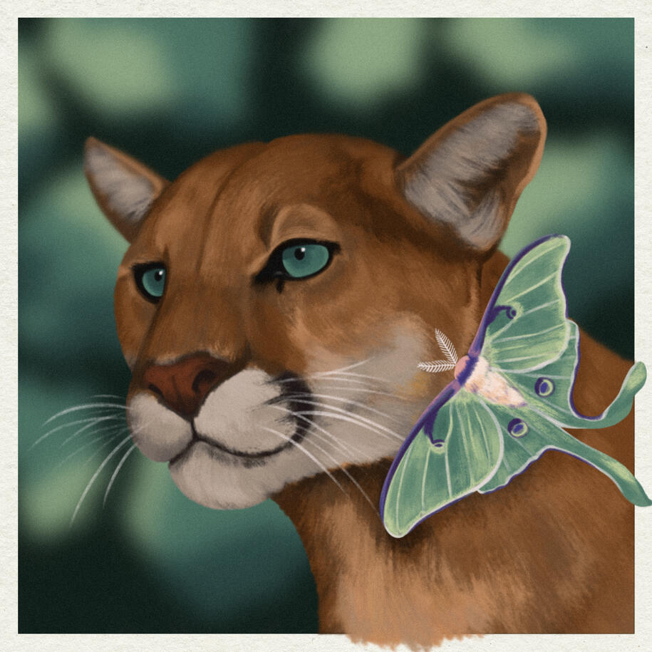 A full color illustration of a mountain lion's head on a green forest background. There is a luna moth on the Lion's cheek.
